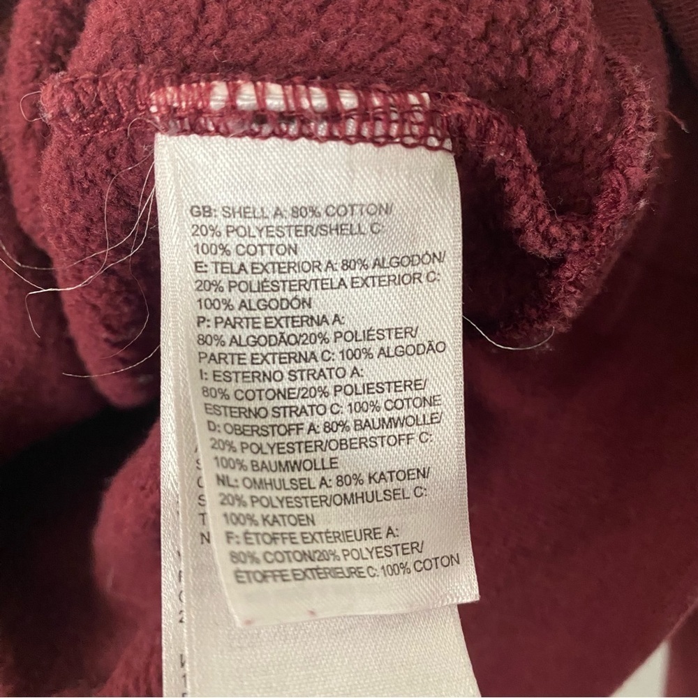 The North Face Grand Canyon Hoodie - Picture 5 of 6
